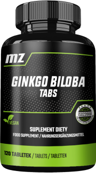 MZ-STORE Ginkgo Biloba 120 tab.