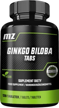 MZ-STORE Ginkgo Biloba 120 tab.