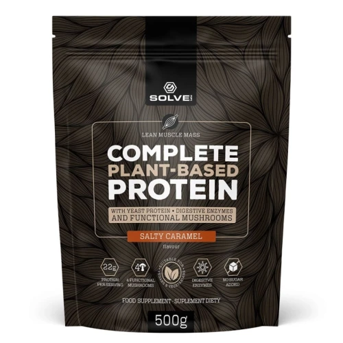 SOLVE LABS COMPLETE PLANT-BASED PROTEIN 500 GRAM salty caramel