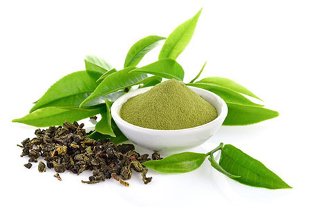 Teanina - Wszystko co musisz o niej wiedzieć