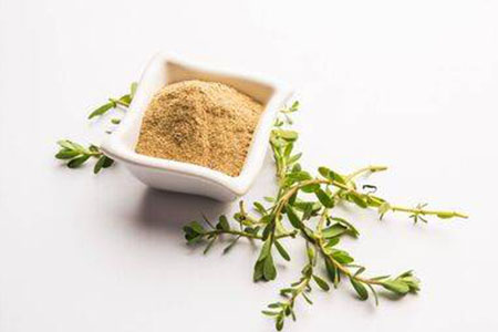 Bacopa Monnieri - Poznaj jej właściwości i działanie